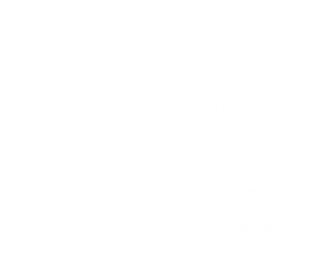 Logo 11