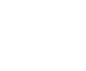 Logo 13