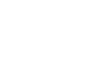 Logo 9